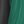 Evergreen Black