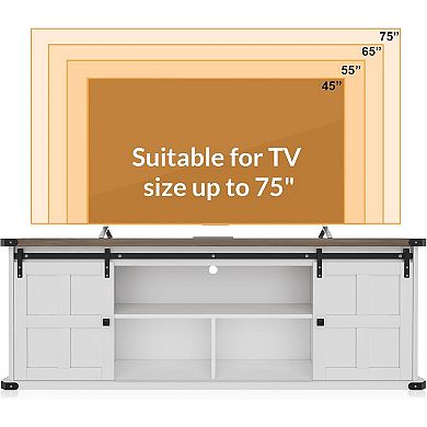 ANIXOL Farmhouse Sliding Barn Door Engineered Wood TV Stand