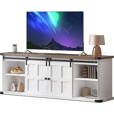 ANIXOL Farmhouse Sliding Barn Door Engineered Wood TV Stand