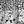 Black White Floral