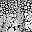 Black White Floral