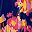 Navy Pink Orange