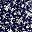 Navy White