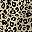 Brown Leopard