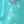 Light Blue Butterfly