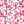 Floral Pink