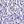 Floral Purple