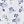 White Floral