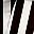 Black Champ Stripe