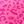 Pink Leopard