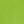 Neon Green