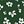 Olive Green Floral