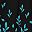 Black Teal White