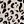 Leopard Print
