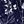 Black Blue Navy