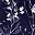 Black Blue Navy
