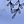 Light Blue White