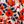 Orange Blue Floral
