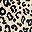 Beige Leopard