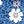 Blue Floral
