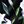 Black Flower