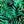 Green Leaves