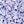 Floral Purple