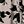 Beige Floral Print