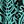 Black Blue Floral