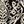 Black Damask Print