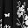 Black Floral