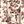Light Khak Floral