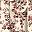 Light Khak Floral