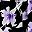 Pruple Floral