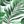 Green Leaf