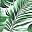Green Leaf