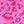 Hot Pink Leopard