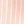 Striped Champagne
