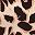 Brown Leopard