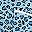 Light Blue Leopard