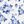 Blue White Floral