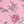 Pink Floral