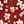 Red Floral