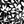 Black White Abstract