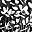 Black White Abstract