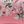 Pink White
