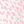 Pink Leopard