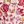 Red Floral Print