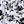Black White Floral