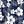 Navy White Floral